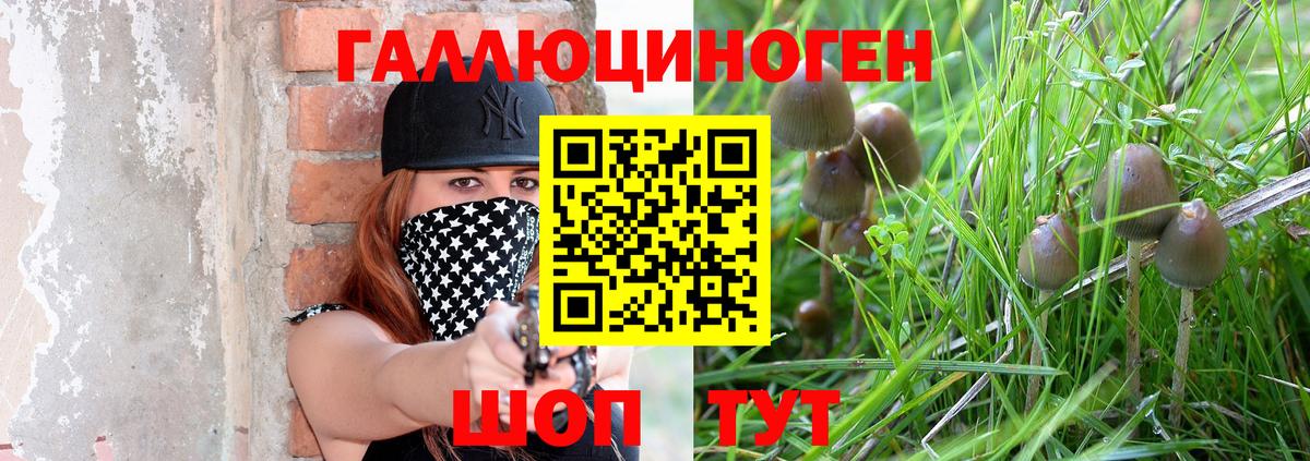 Псилоцибиновые грибы мицелий  Вход с VPN  Борзя 