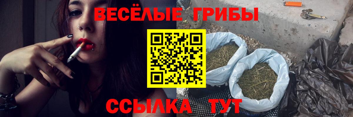 Галлюциногенные грибы GOLDEN TEACHER Борзя